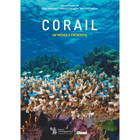 Corail: un trésor à préserver